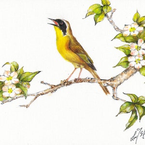 Original Oil BIRD Portrait Painting Art Artwork COMMON YELLOWTHROAT Flower Artist Signed