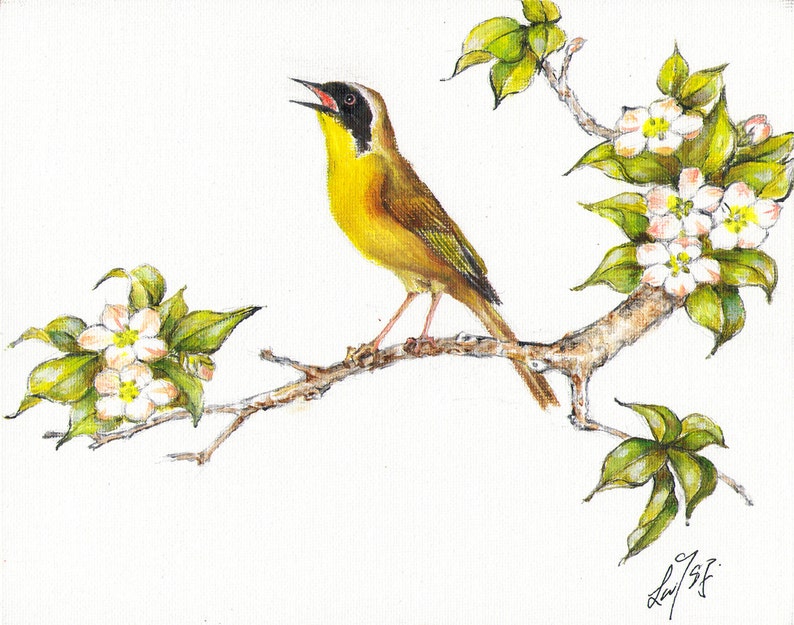 Original Oil BIRD Portrait Painting Art Artwork COMMON YELLOWTHROAT Flower Artist Signed image 1