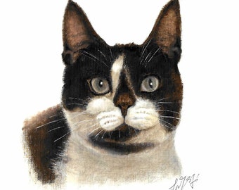 Original Oil Portrait Painting MUNCHKIN Artist Signed Art Artwork Cat Kitten Black White