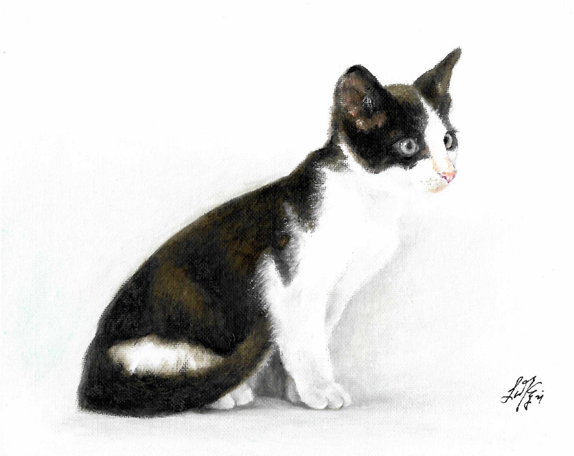 Original Oil Portrait Painting TABBY CAT KITTEN Black White Artwork ...