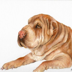 Original Oil Portrait Painting SHAR PEI Puppy Dog Artwork from Artist