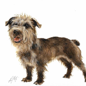 Original Oil Art GLEN of IMAAL TERRIER Portrait Painting Dog Artist Signed Artwork Puppy