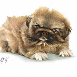 Original Oil Portrait Painting PEKINGESE PUPPY DOG Art from Artist Signed Artwork