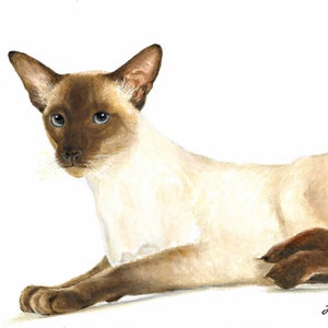 Original Oil Portrait Painting SIAMESE CAT Artist Signed Art Artwork Cat Kitten Pet