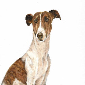 Original Ölkunst UNGARISCHER WINDHUND Portrait Gemälde Hund Künstler signiert Kunstwerk Welpe