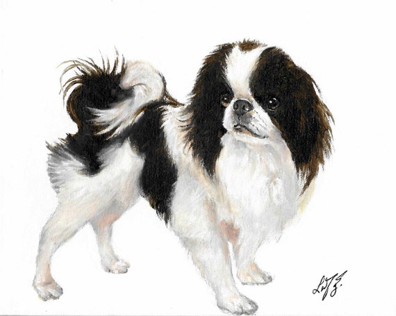 Buy Original Oil Art JAPANESE CHIN Portrait Painting Puppy Dog