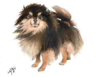 ポメラニアンの鉛筆画 – オリジナル白黒犬の肖像画（8 x 6インチ