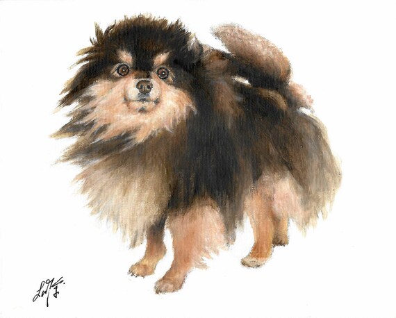 オリジナル油絵肖像画 ポメラニアン ポムポミ 子犬 犬 アーティスト