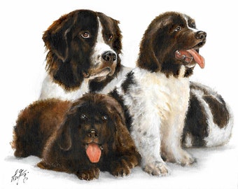 Original Oil Portrait Painting NEWFOUNDLAND Artist Signed Puppy Dog Pet Animal Art Artwork