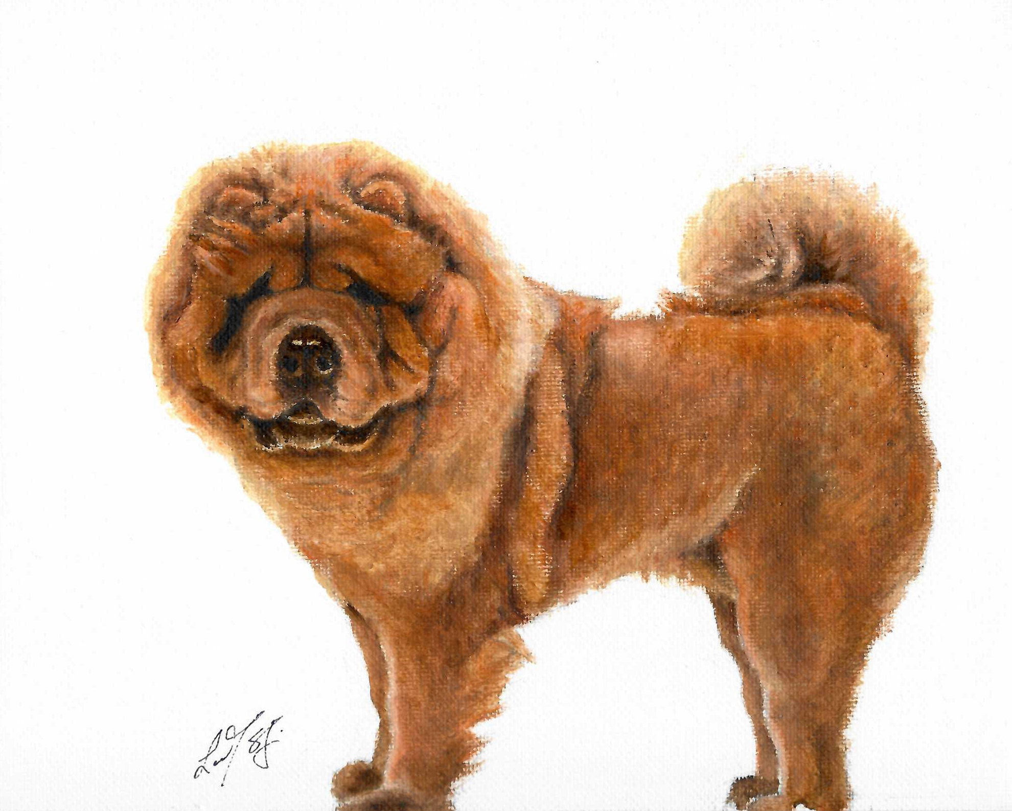 original chow chow