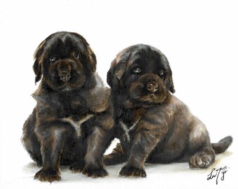 Original Oil Portrait Painting LEONBERGER Artist Signed Puppy Dog Pet Animal Art Artwork Black
