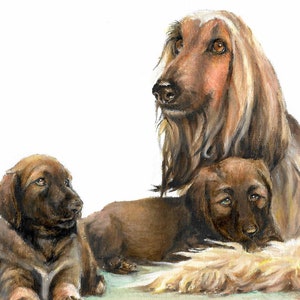 Original Oil Art AFGHAN HOUND Portrait Painting Puppy Dog Artist Signed Artwork