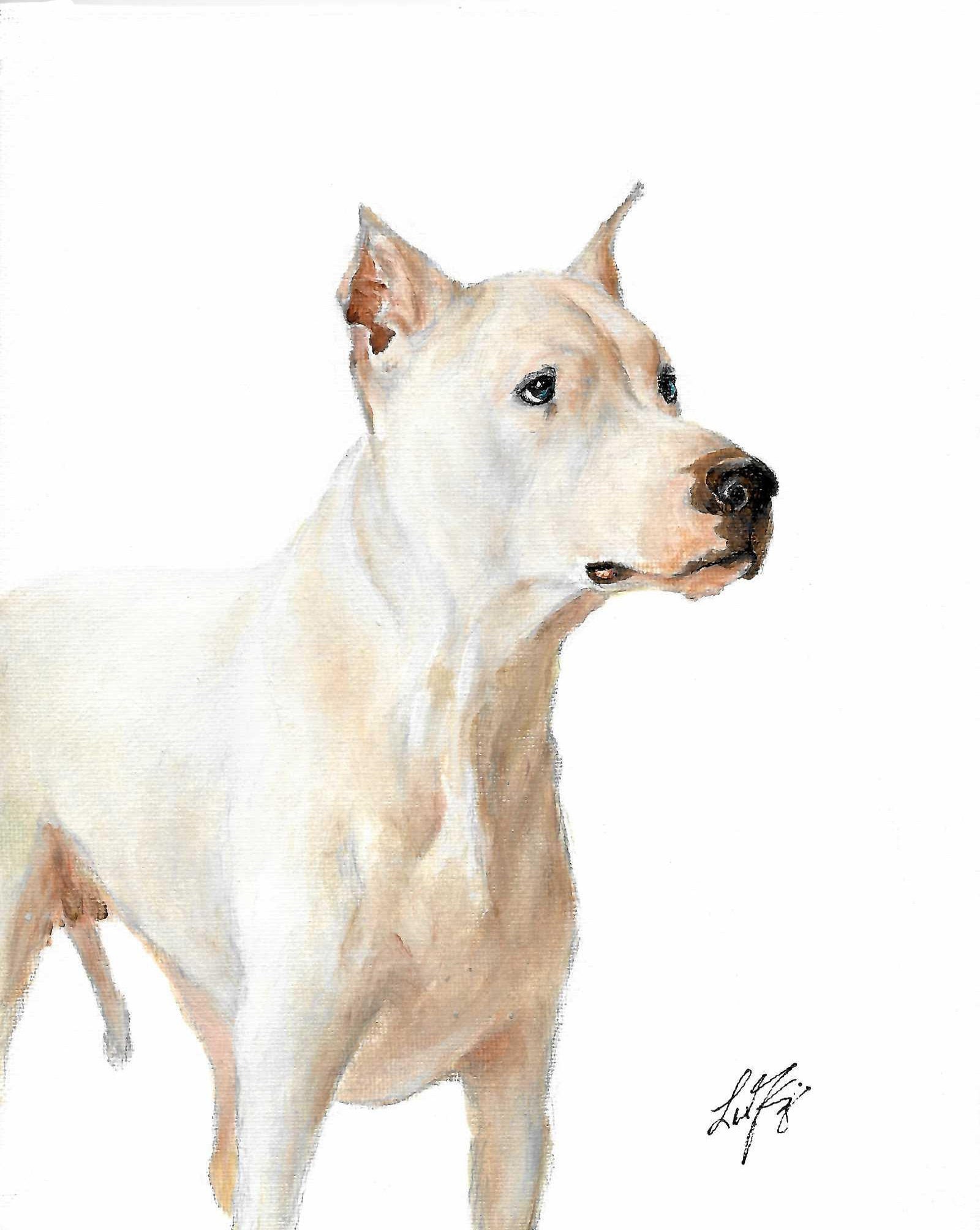 Buy Original Oil Portrait Painting DOGO ARGENTINO Puppy Dog
