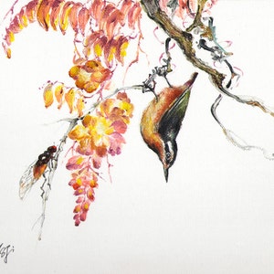 Original Oil Bird Portrait Painting Art Artwork RED-BREASTED NUTHATCH Tree Artist Signed