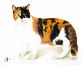 Pintura a óleo original de retrato, cabelo curto britânico, tartaruga, gato, gatinho, arte assinada, arte, animal de estimação
