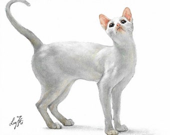 Original Oil Portrait Painting ORIENTAL SHORTHAIR WHITE Artist Signed Artwork Cat Kitten Art Animal Pet