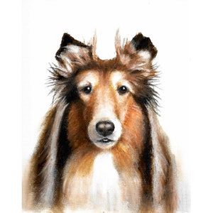 Original Oil Portrait Painting ROUGH COLLIE Sheepdog Artist Signed Puppy Dog Pet Animal Artwork Art on Canvas