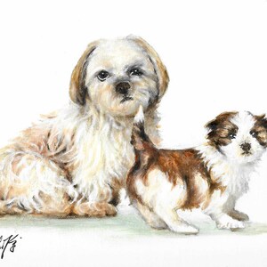 Original Oil Art SHIH TZU Portrait Painting Artist Signed Artwork Puppy Dog