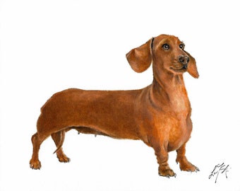Original Oil Portrait Painting DACHSHUND Portrait Painting Puppy Dog Weiner Artist Signed Artwork