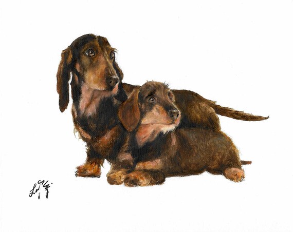 Original Oil Portrait Painting DACHSHUND Puppy Dog Pet Animal Artist Signed  Artwork on Canvas