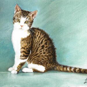 Original Oil Portrait Painting US ORGIN Cat Kitten Artwork Artist Signed Art Pet Animal