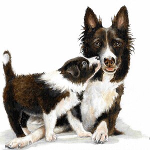Original Oil Art BORDER COLLIE SHEEPDOG Portrait Painting Puppy Dog Artist Signed Artwork