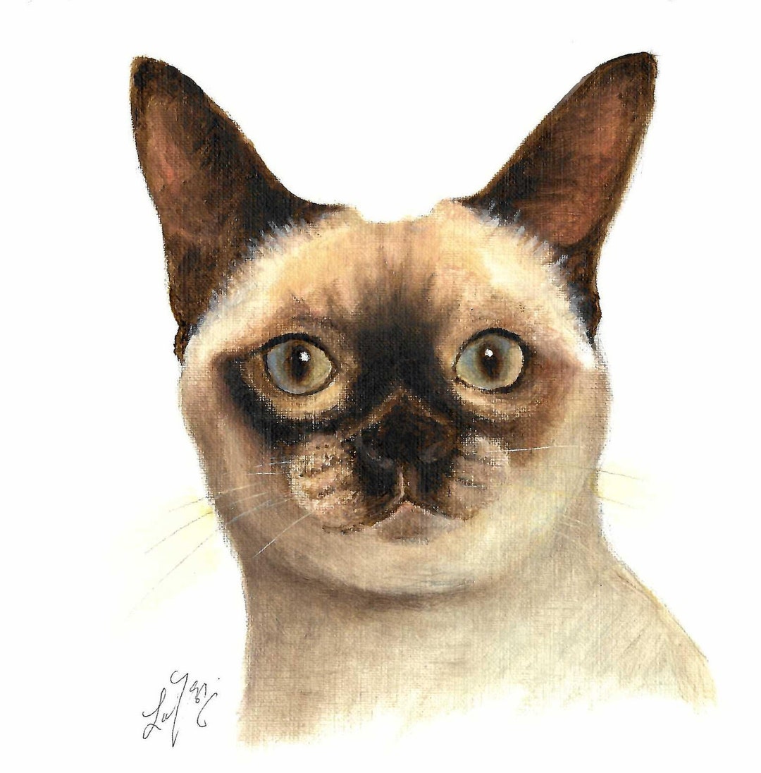 Original Oil Portrait Painting TONKINESE Artist Signed Art Artwork Cat ...