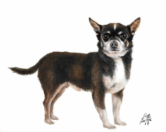 Original Oil Portrait Painting CHIHUAHUA Puppy Dog Artist Signed