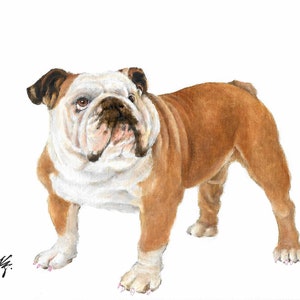 Original Oil DOG Portrait Painting ENGLISH BULLDOG Art from Artist Signed