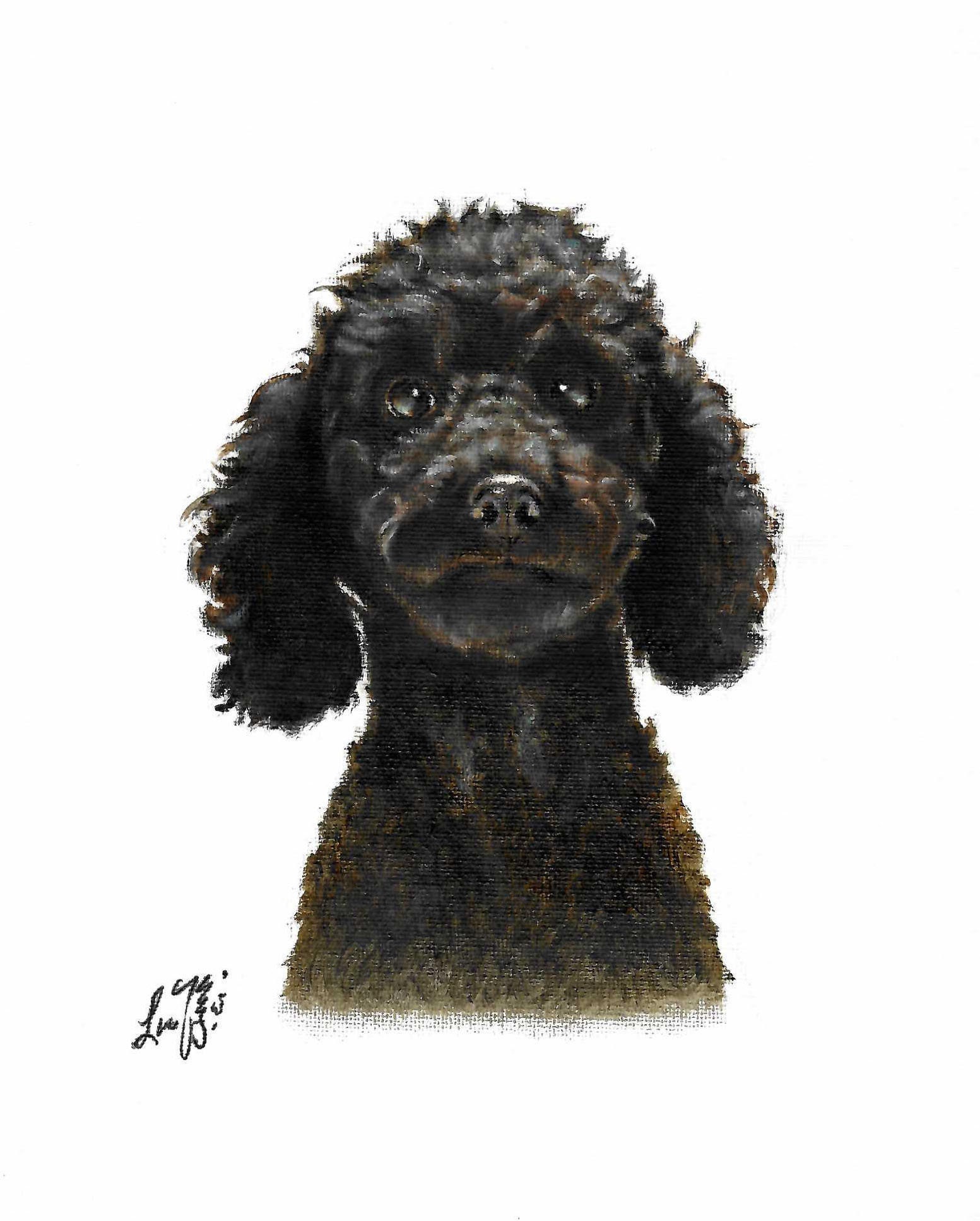 Original Oil Portrait Painting POODLE Black Puppy Dog Artist Etsy
