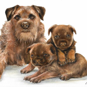 Original Oil Art BORDER TERRIER Portrait Painting Puppy Dog Artist Signed Artwork