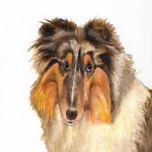 Original Oil Portrait Painting COLLIE Artist Signed Puppy Dog Artwork Pet Art SHEEPDOG