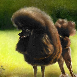 Original Oil DOG Portrait Painting BLACK POODLE Art Puppy Artist Signed Artwork