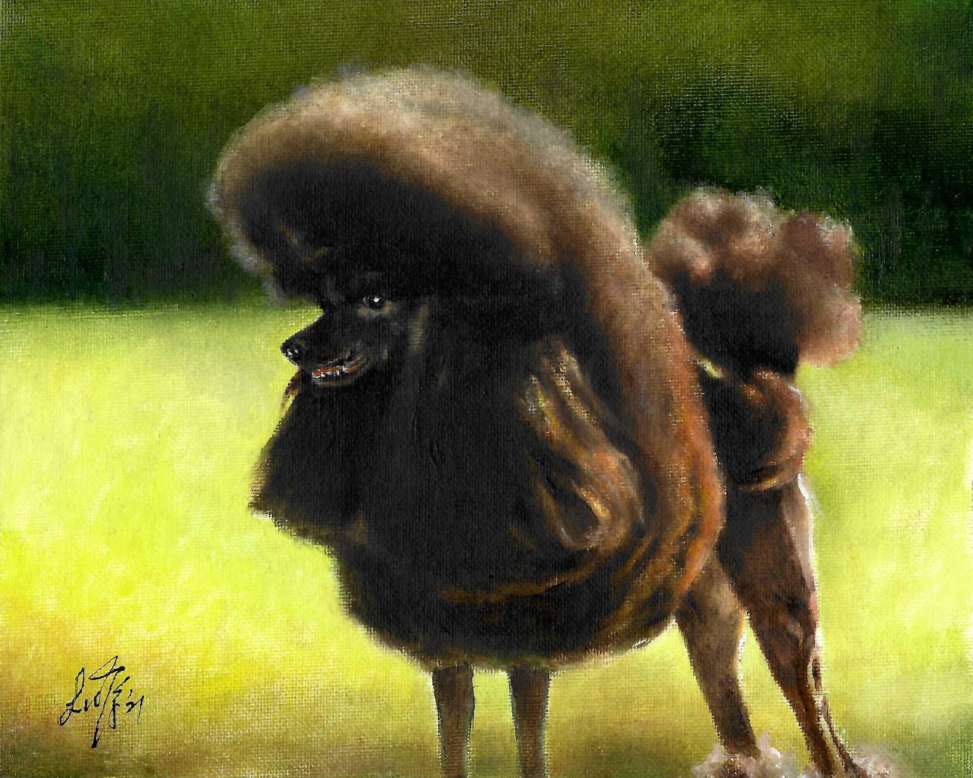 original-oil-dog-portrait-painting-black-poodle-art-puppy-artist-signed