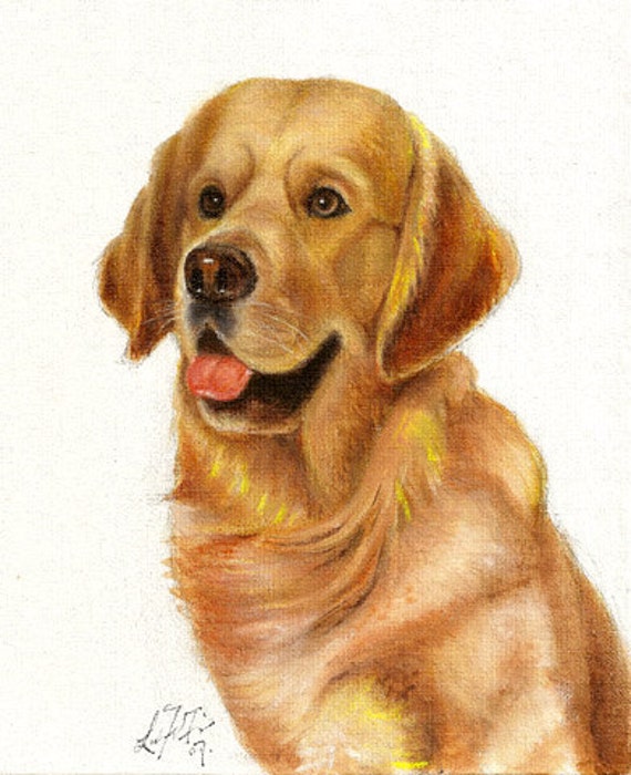 Original DOG Oil Portrait Painting GOLDEN RETRIEVER Artwork | Etsy