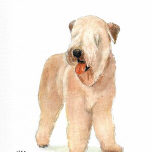 Original Oil Portrait Painting WHEATEN TERRIER Art from Artist Signed Soft Coated Puppy Dog