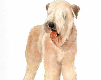 Original Oil Portrait Painting WHEATEN TERRIER Art from Artist Signed Soft Coated Puppy Dog