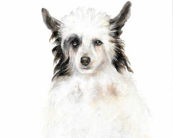 Original Oil Portrait Painting CHINESE CRESTED Artist Signed Puppy Dog Artwork Pet Art