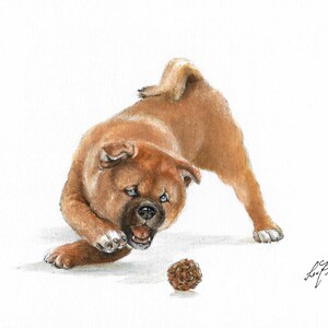 オリジナル油絵肖像画 柴犬 子犬 アーティストサイン入りアートワーク アート