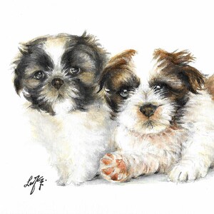 Original Oil Portrait Painting SHIH TZU Artist Signed Artwork Puppy Dog Pet Art
