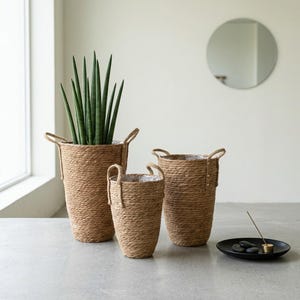 May include: Three woven jute plant pots of different sizes. The largest pot contains a tall, green plant. Each pot has rope handles. The pots are on a light grey surface, with a black plate and a round mirror in the background.