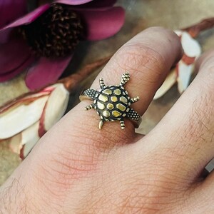 Pode incluir: Um anel em tom bronze com um design de tartaruga. A tartaruga tem uma carapaça texturizada com um centro dourado e pernas e cabeça detalhadas. O anel é usado em um dedo, com um fundo floral desfocado.