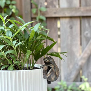 Puede incluir: Una figura de rana de color bronce posada en el borde de una maceta blanca y acanalada. La maceta contiene exuberantes plantas verdes con hojas largas y delgadas. El fondo presenta una valla de madera y vegetación, creando un entorno natural al aire libre.