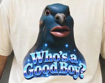 Mème du pigeon détraqué, Qui est un bon garçon ?, T-shirt « Brainrot », T-shirt pigeon drôle, T-shirt mème viral, Couleurs confortables, T-shirt cadeau gag, Humour Y2K