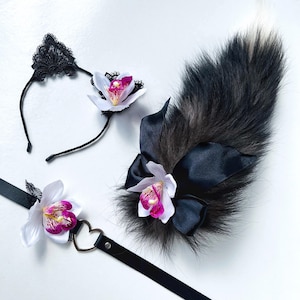 Cat tail with ears and collar with orchid. Lace cat ears with collar Kawaii cat Anime girl Kitten set for adult Pet play Cat woman costume