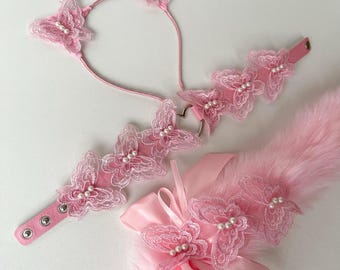 Pink Butterfly Cat tail with ears and collar. Cat ears with collar Kawaii cat Anime girl Kitten set for adult Pet play Cat woman costume