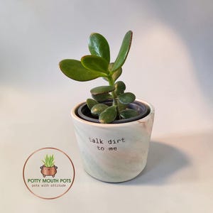 May include: A small succulent plant with thick, glossy green leaves potted in a marbled white and light pink ceramic planter. The planter features the black stamped text "talk dirt to me" on the front and holds a dark gray inner plastic pot.
