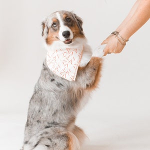 Red Sprinkles Bandana