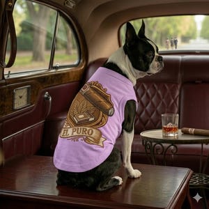 May include: A Boston Terrier wearing a light purple dog shirt with a cigar-themed graphic. The shirt features a brown cigar, a book, and the words "EL PURO" on a banner. The dog is sitting in a classic car.
