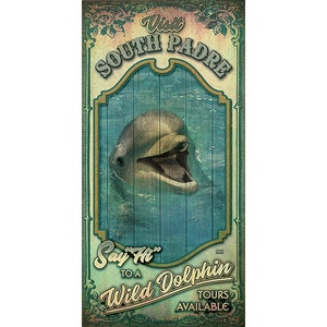 Poster de voyage aventure avec les dauphins de l'île South Padre